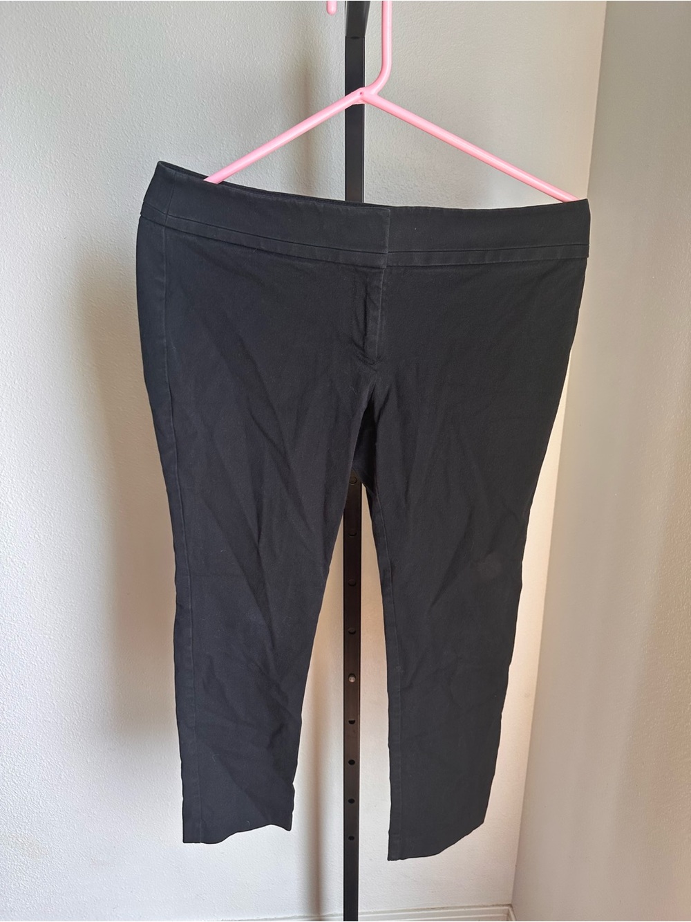 Loft 8P pants